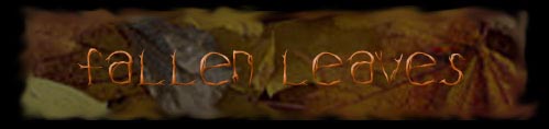 fallen leaves